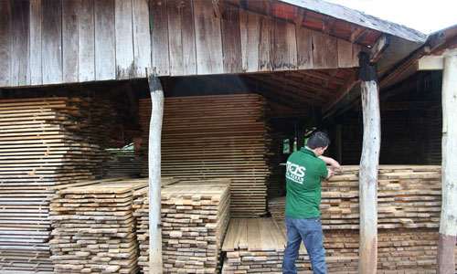 Exportação de madeira do mundo